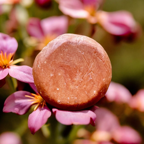 Kali Shampoo Bar for Dry/Curly